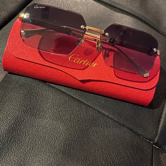 Cartier Vintage Sunglasses - Picture 14 of 14